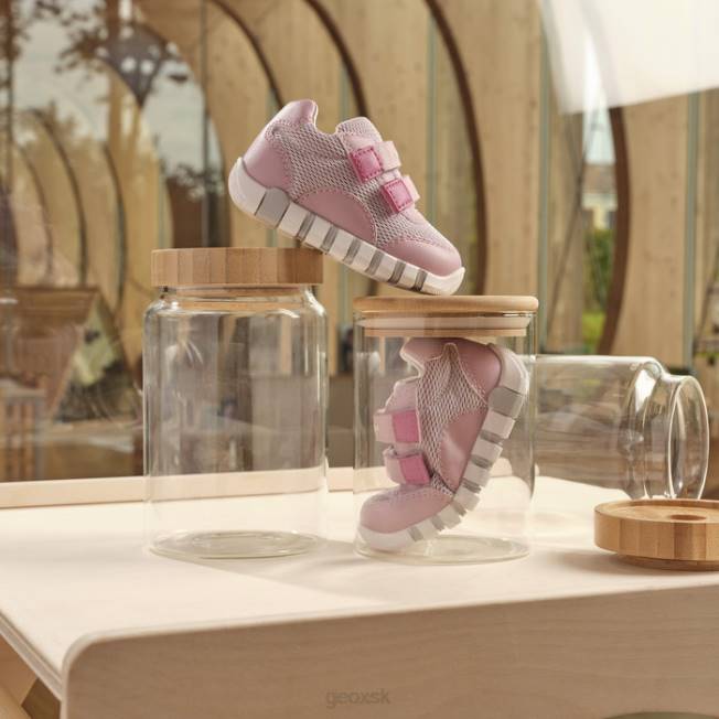 8ZHJ2024 ruža Geox iupidoo dievčatko