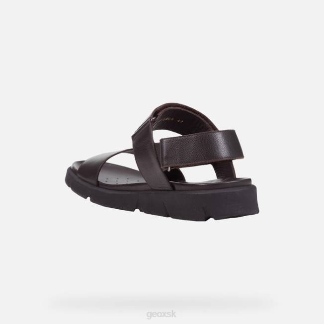 8ZHJ1757 hnedá cotto Geox xand 2s muž