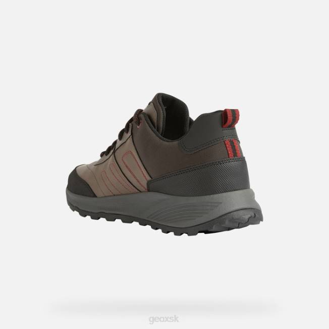 8ZHJ857 holubica sivá Geox terrestre abx človek