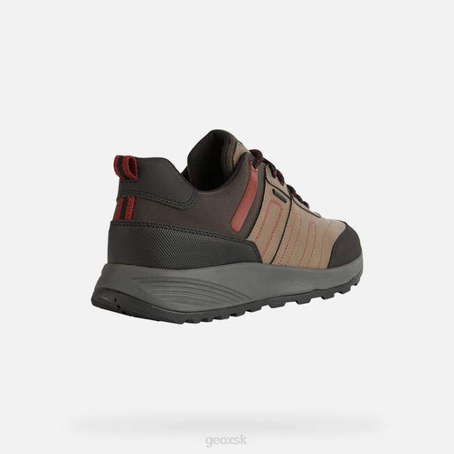 8ZHJ857 holubica sivá Geox terrestre abx človek