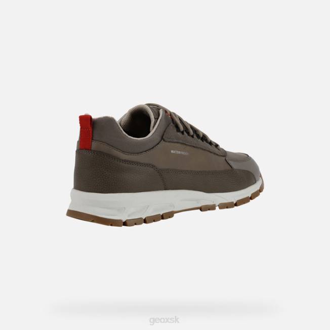 8ZHJ920 holubica sivá Geox zdržať človeka