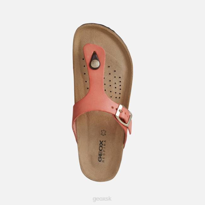 8ZHJ496 Hrdza Geox žena brionia